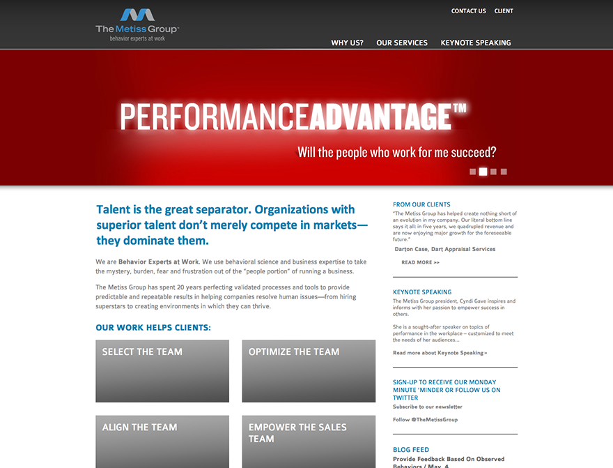 The Metiss Group Website Design