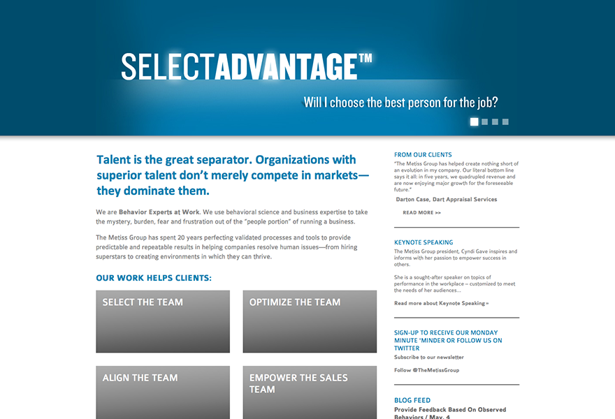 The Metiss Group Website Design