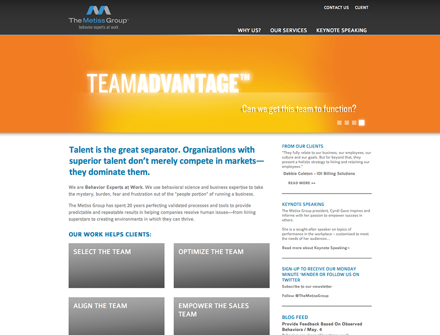 The Metiss Group Website Design