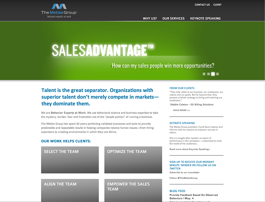 The Metiss Group Website Design